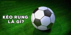 Kèo rung là gì? Tìm hiểu bí quyết thắng lớn trong cá cược