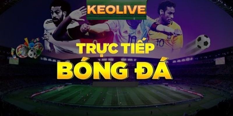Các dịch vụ mà trang web Keolive cung cấp